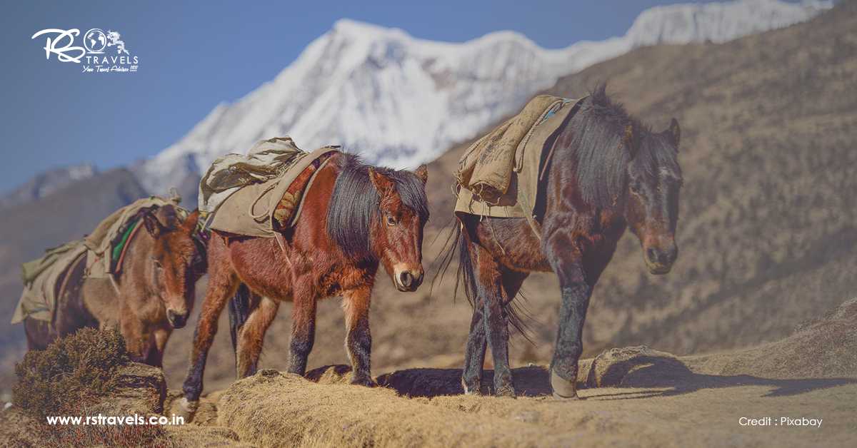 A Complete Guide for a Day Trip to Khamsum Yulley Namgyal Temple