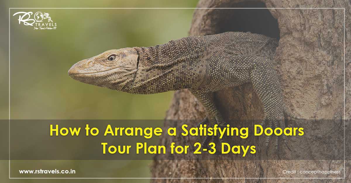 How to Arrange a Satisfying Dooars Tour Plan for 2-3 Days