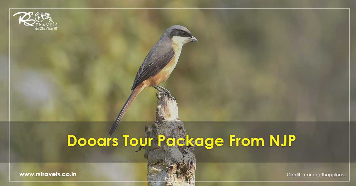 Dooars Tour Package From NJP