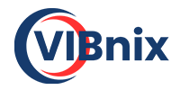 Vibnix Profile Creation