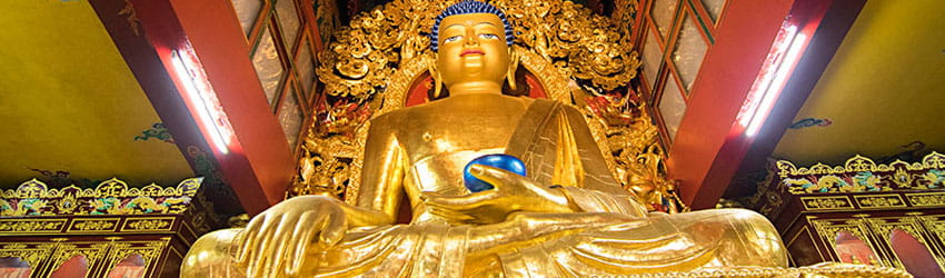Best Places to stay in Darjeeling and Gangtok