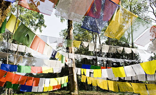 Best places to stay in Darjeeling and Gangtok