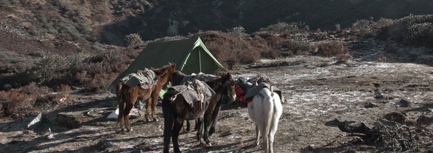 Bhutan's Most Famous Hike