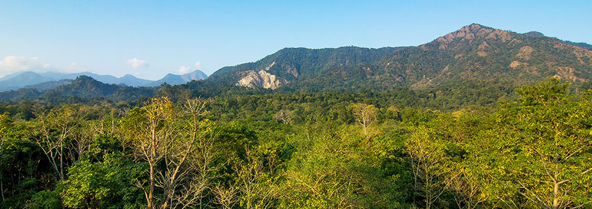 Buxa Tiger Reserve & Jayanti River