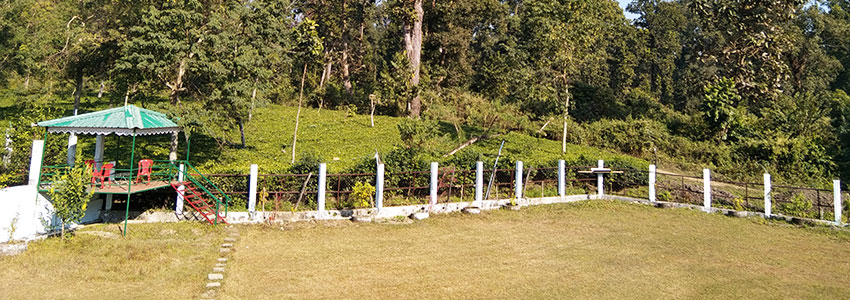 Gorumara National Park