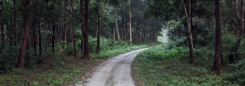 Jaldapara National Park