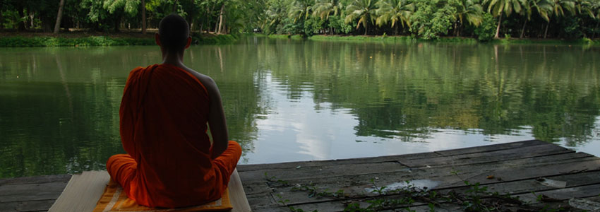 Meditation & Wellness