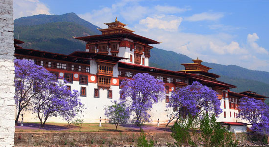 Punakha Dzong: