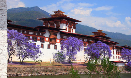 Thimphu to Punakha