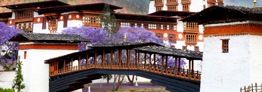 PUNAKHA TSHECHU