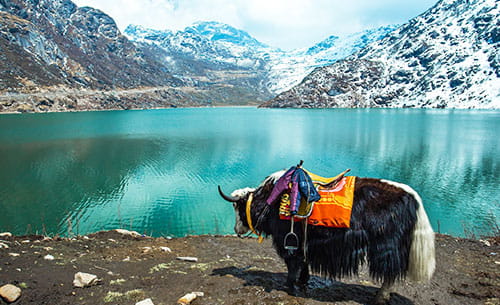 Best places to stay in Sikkim